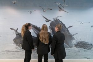 brannel-students-studying-whale-photograph-by-scarlett-photography
