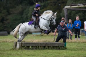 show jumping photography