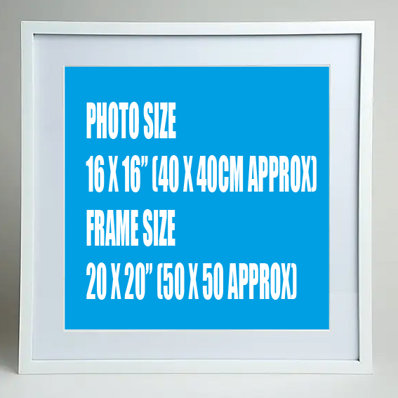 framed print