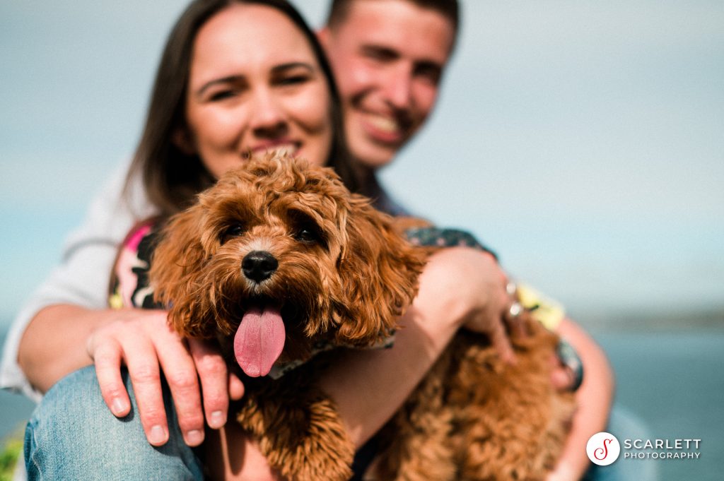 proposal photoshoot with dog