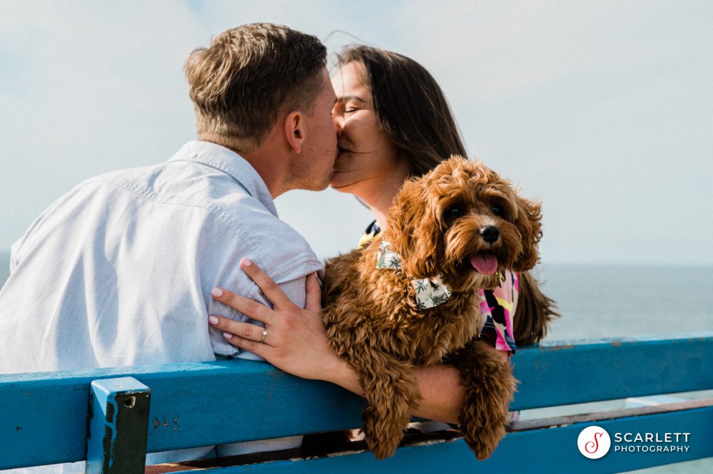 couple who just got engaged